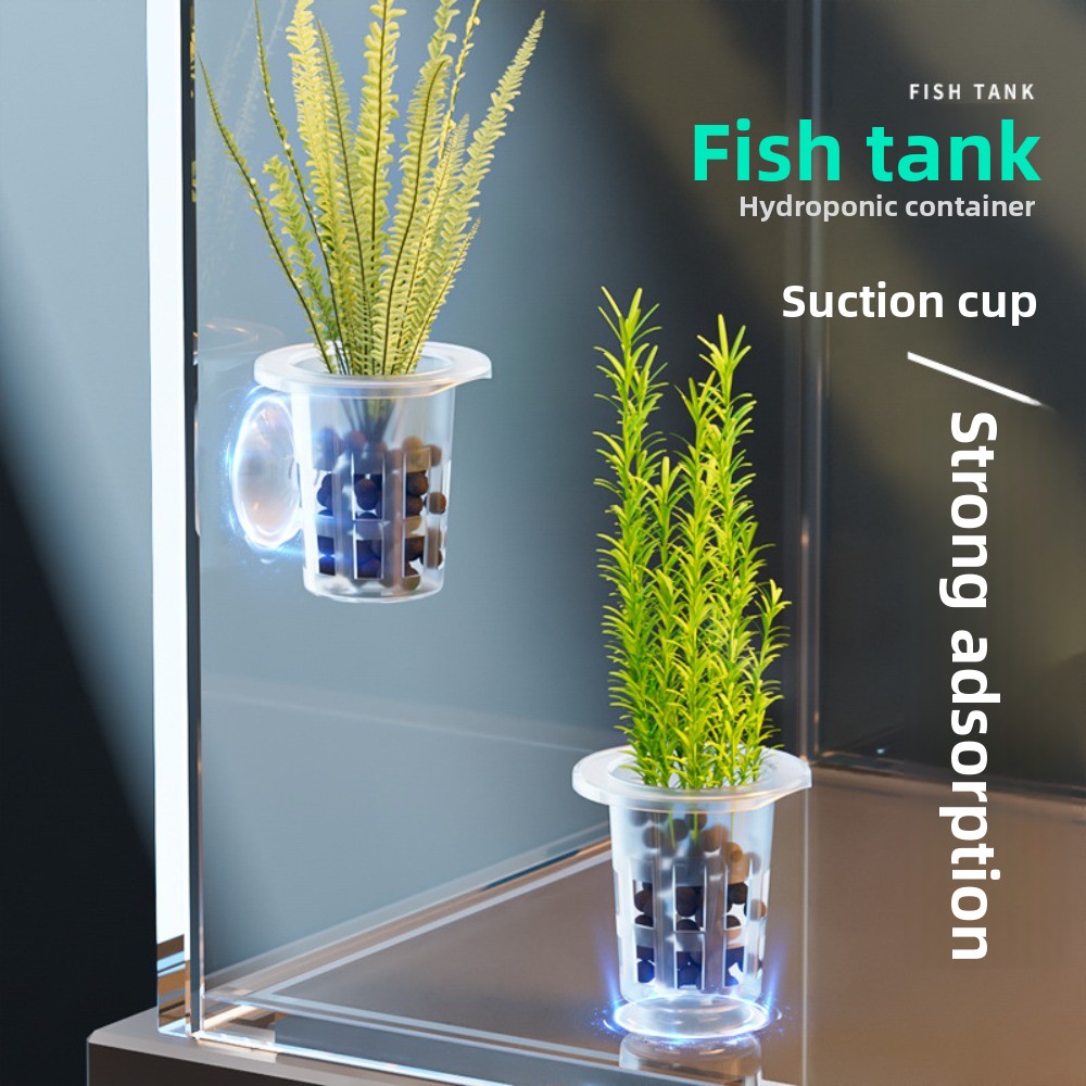 Plant Aquarium Pot - 10 Peças de Vasos Hidropônicos Transparentes