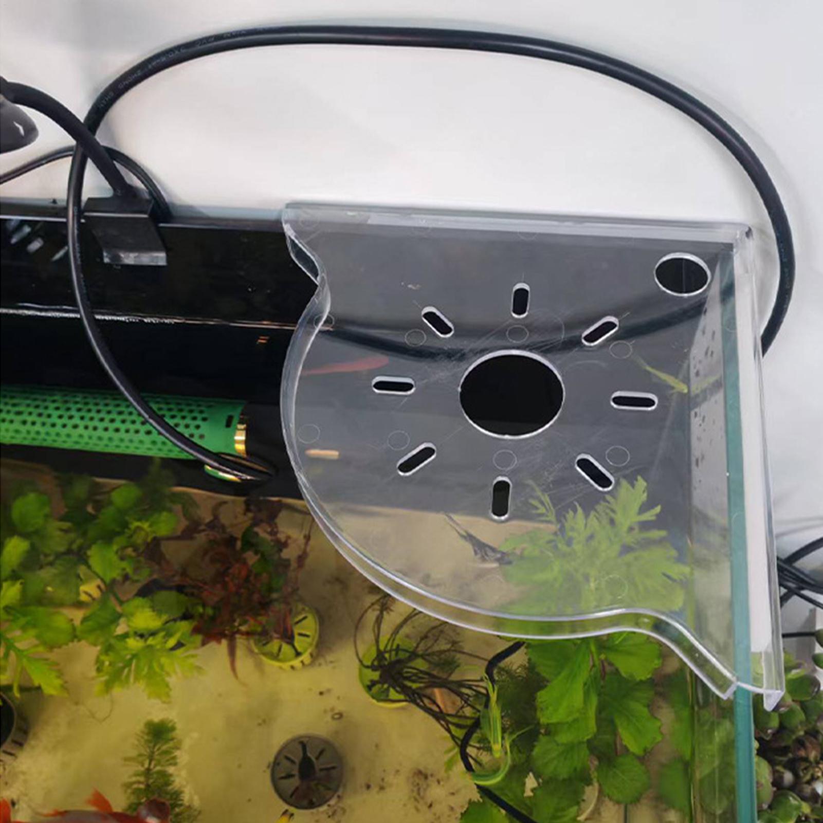 Aquarium Plants Live - Suporte de Canto para Aquário em