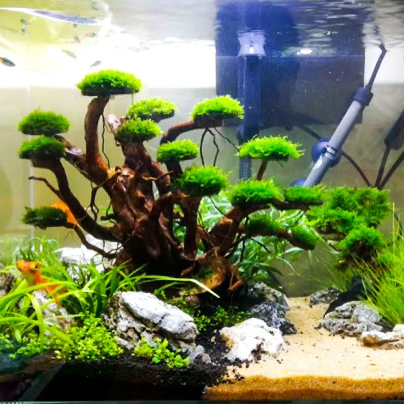 Aquarium Plant Substrate - Decoração para Aquário: Ornamento de Raiz