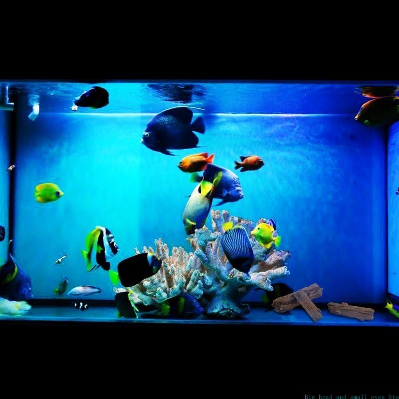 Decoração aquário árvore tronc - Aquarium Plant Substrate avaliação e preço