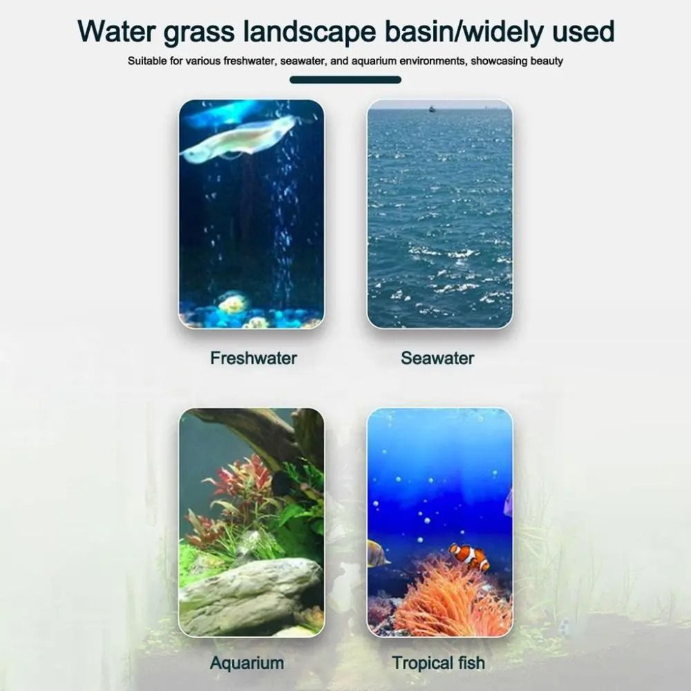 10 Peças de Vasos Hidropônicos - Plant Aquarium Pot avaliação e preço
