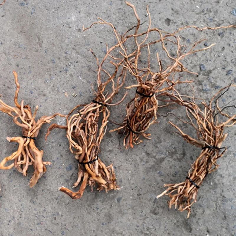 Tronco de madeira natural para - Aquarium Driftwood avaliação e preço