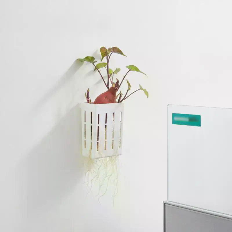 1 Peça Cesto de Suporte Hidrop - Plant Aquarium Pot avaliação e preço