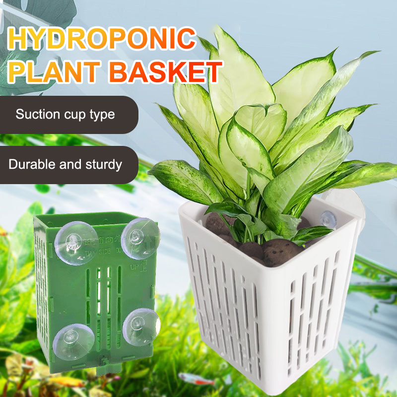 Pendurado ventosa gancho aquár - Plant Aquarium Pot avaliação e preço