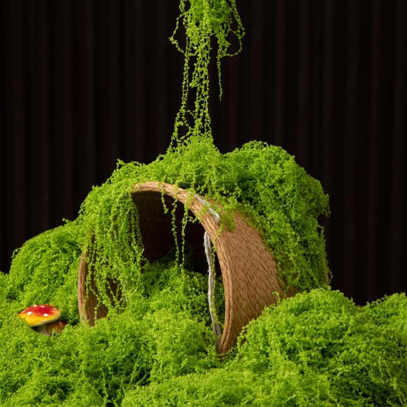 Musgo da Vida Eterna 200g para - Aquarium Moss avaliação e preço