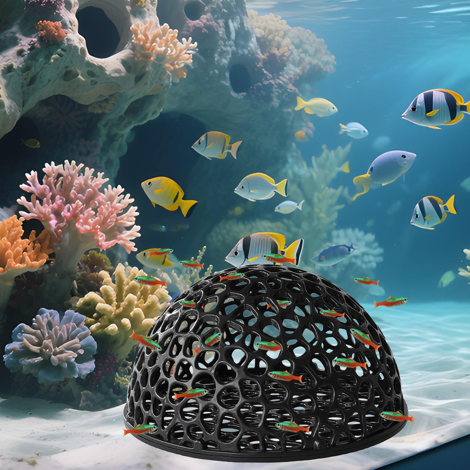 Abrigo de caverna para aquário - Aquarium Plants Live avaliação e preço