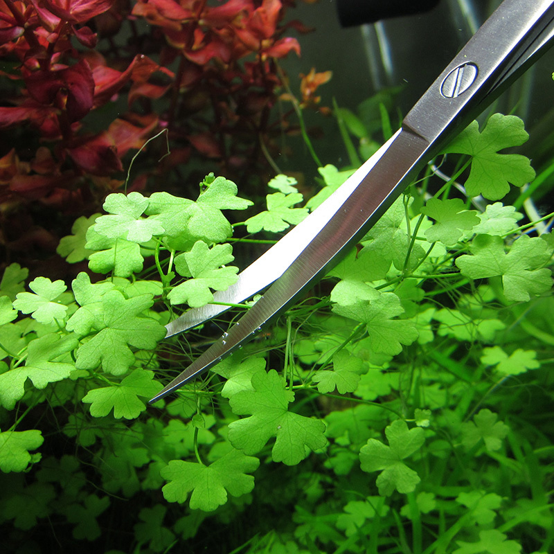 Acessórios para aquário, aço i - Planted Aquarium Cleaning avaliação e preço