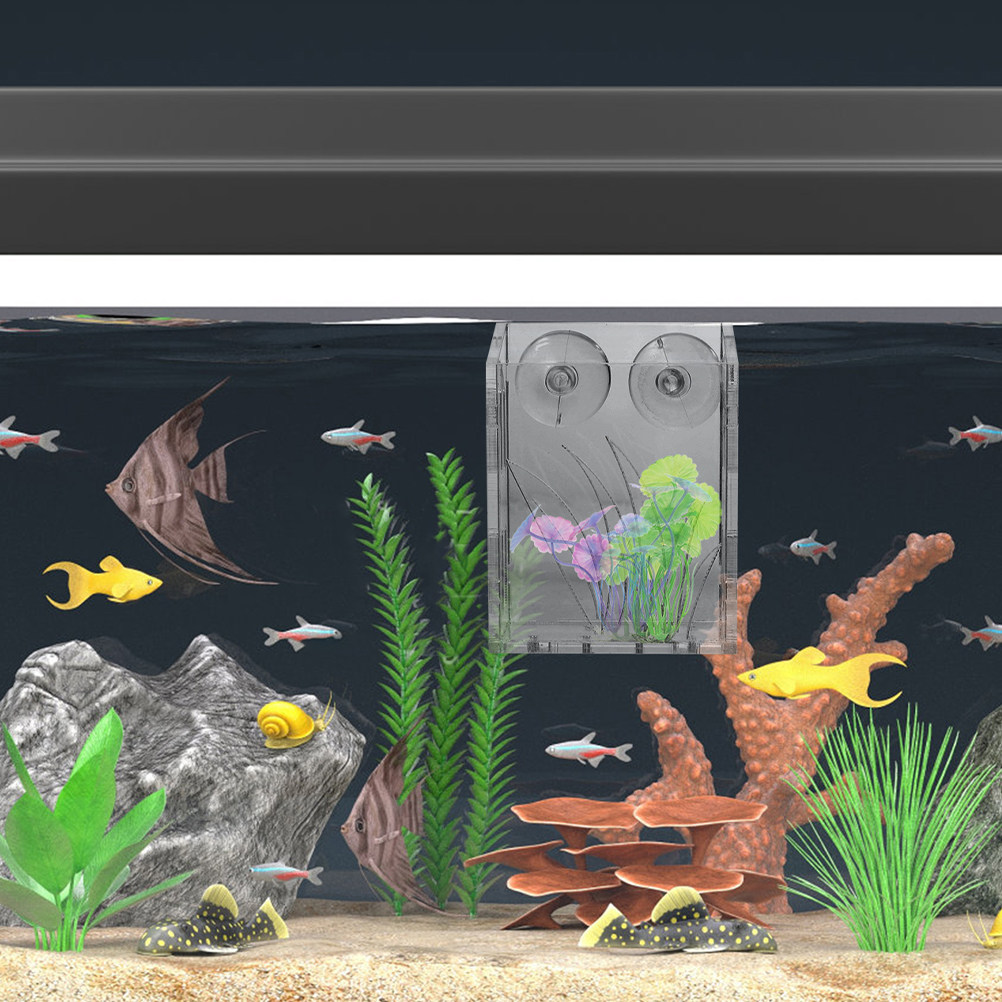 3 unidades de suportes para pl - Plant Aquarium Pot avaliação e preço