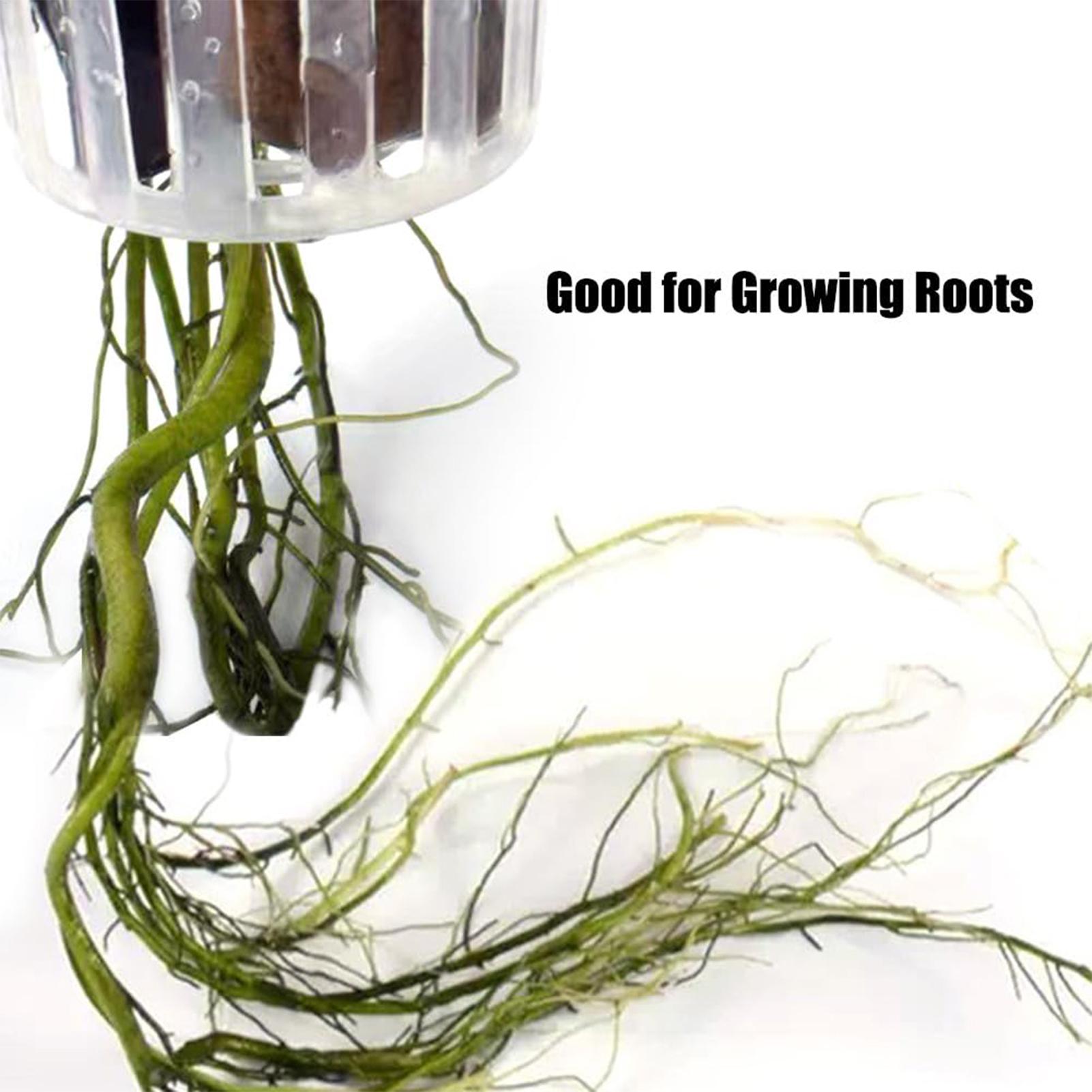 2 unidades de suporte para pla - Plant Aquarium Pot avaliação e preço