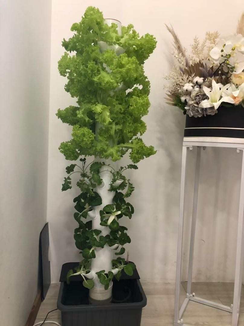 Torre de Cultivo Hidropônico V - Planted Tank avaliação e preço