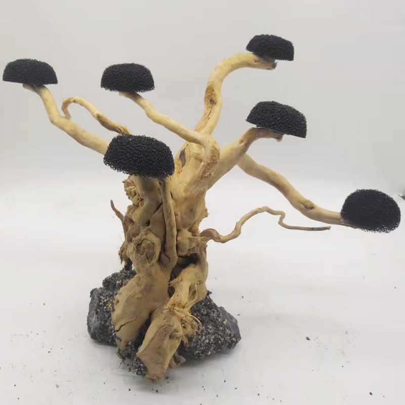 Aquário flutuante paisagismo d - Aquarium Driftwood avaliação e preço