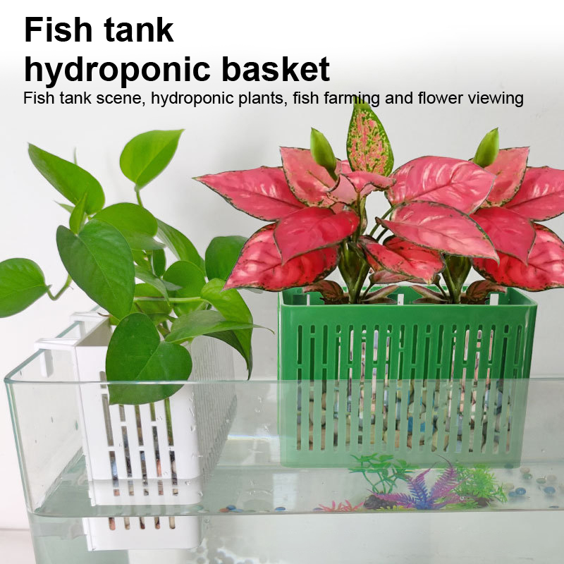 【F】Suporte Suspenso para Plant - Aquarium Plant Substrate avaliação e preço