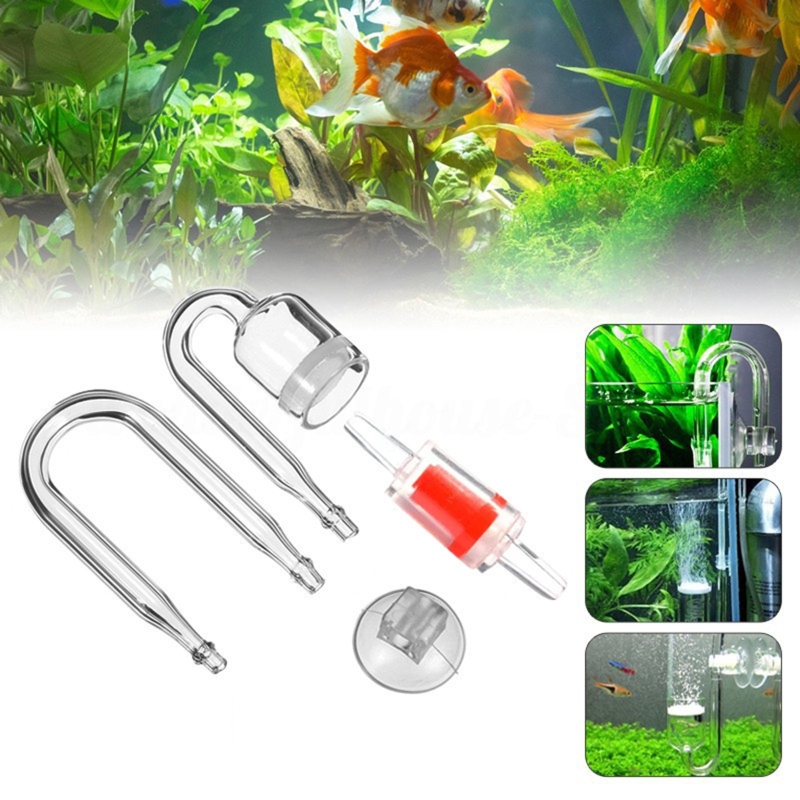 CO2 Difusor para Aquário, DIY  - Live Plant Aquarium avaliação e preço