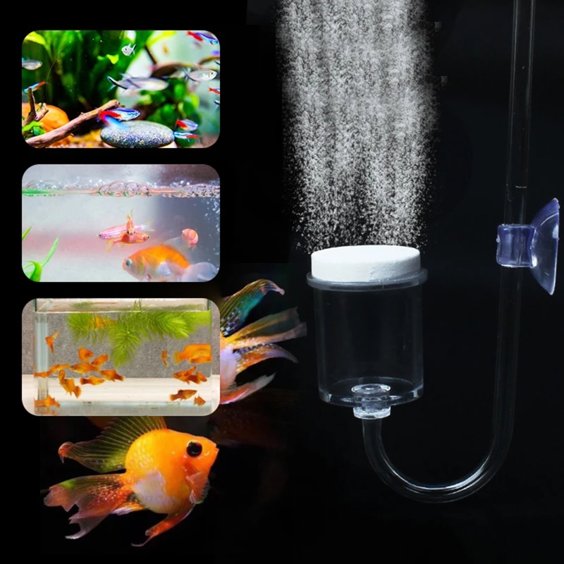 CO2 Difusor para Aquário, DIY  - Live Plant Aquarium avaliação e preço