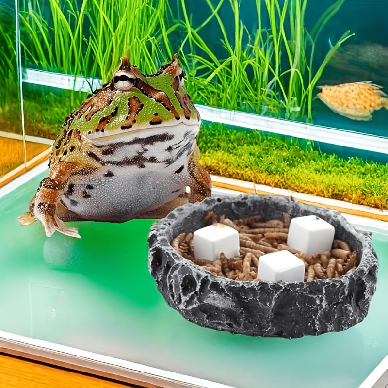 6 Peças de Blocos de Cálcio pa - Aquarium Plants Live avaliação e preço