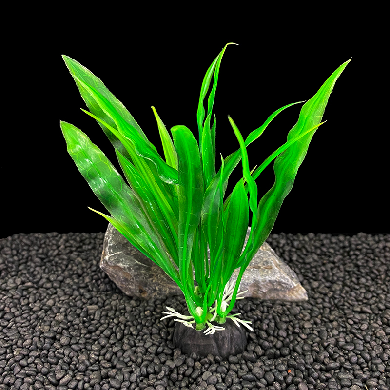 6 unidades de plantas para aqu - Live Plant Aquarium avaliação e preço