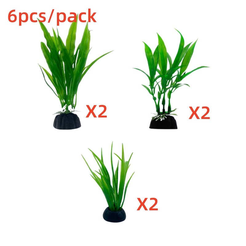 6 unidades de plantas para aqu - Live Plant Aquarium avaliação e preço
